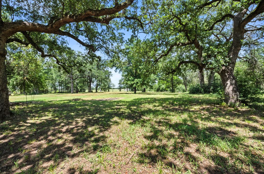 1065 Private Road 7041 Elgin, TX 78621 - Photo 34 of 38 View of the back yard shaded with big beautiful trees