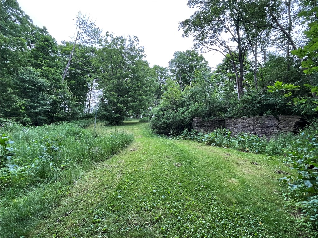326 Park Hill Road Erin, NY 14838 - Photo 22 of 50