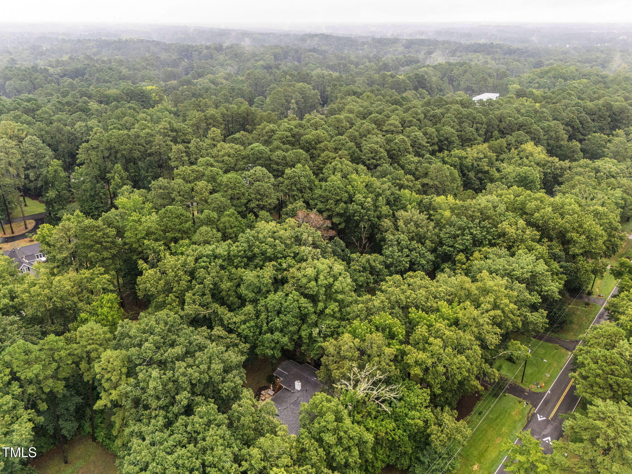 3816 Swarthmore Road Durham, NC 27707 - Photo 54 of 60 6-web-or-mls-DJI_20250807105618_0013_D