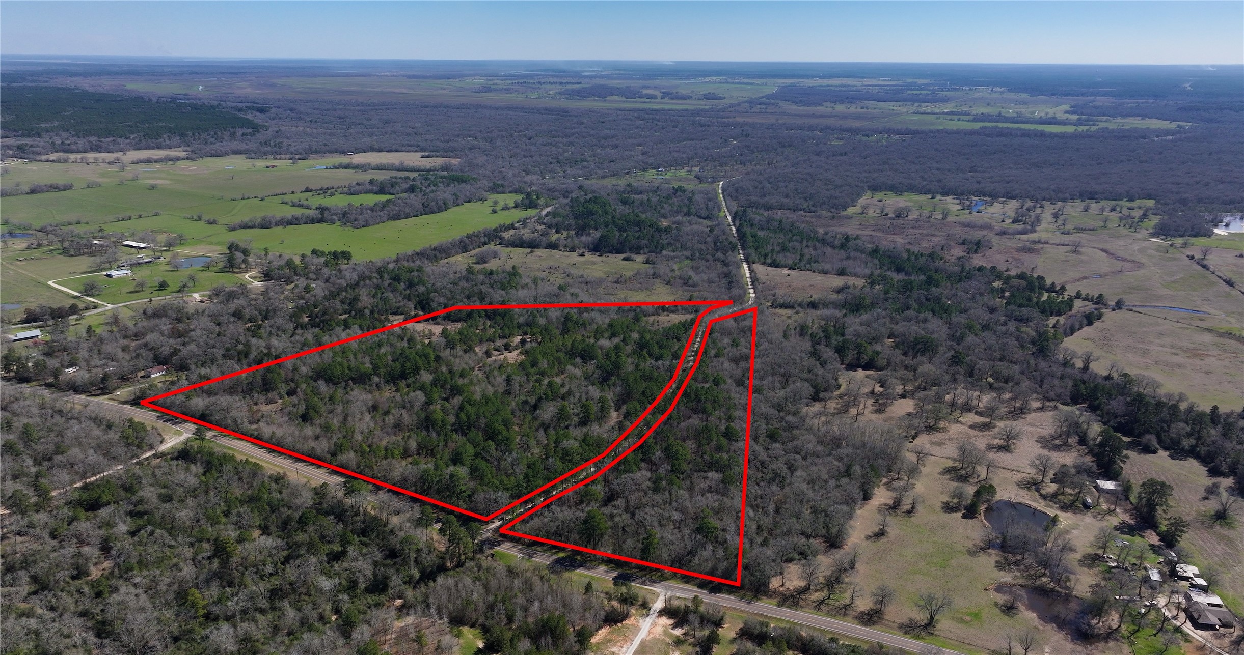 0 Palmetto Road Trinity, TX 75862 - Photo 1 of 9