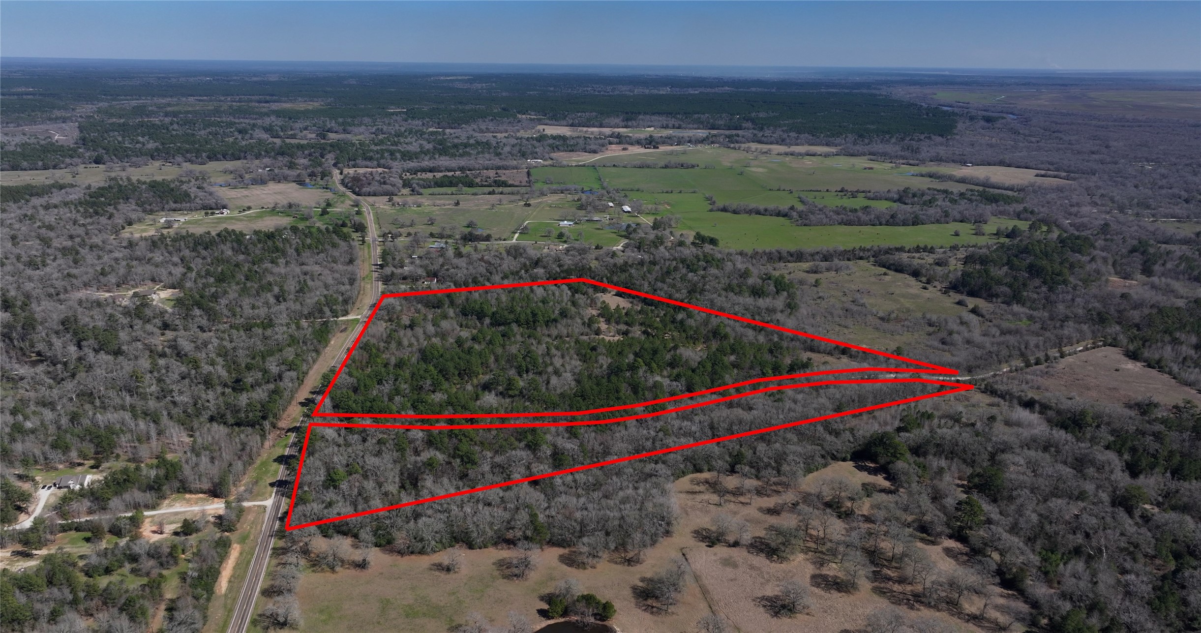 0 Palmetto Road Trinity, TX 75862 - Photo 2 of 9