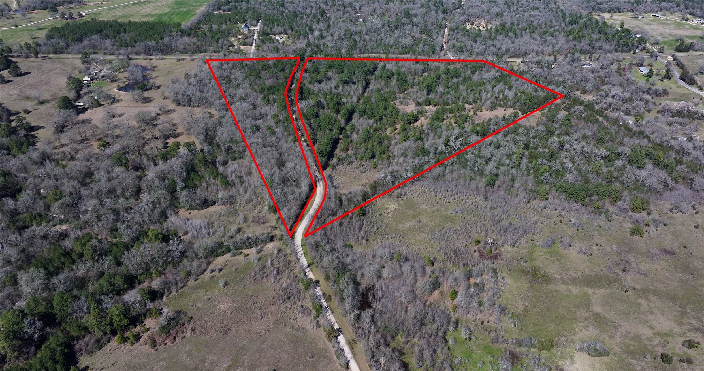 0 Palmetto Road Trinity, TX 75862 - Photo 3 of 9