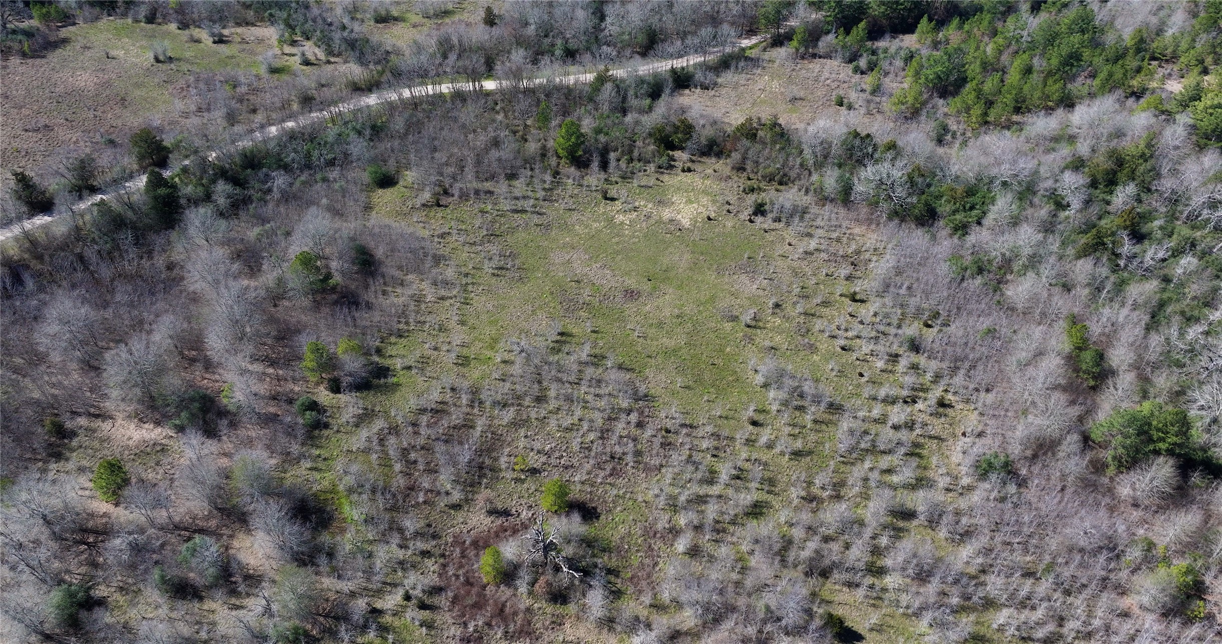 0 Palmetto Road Trinity, TX 75862 - Photo 4 of 9