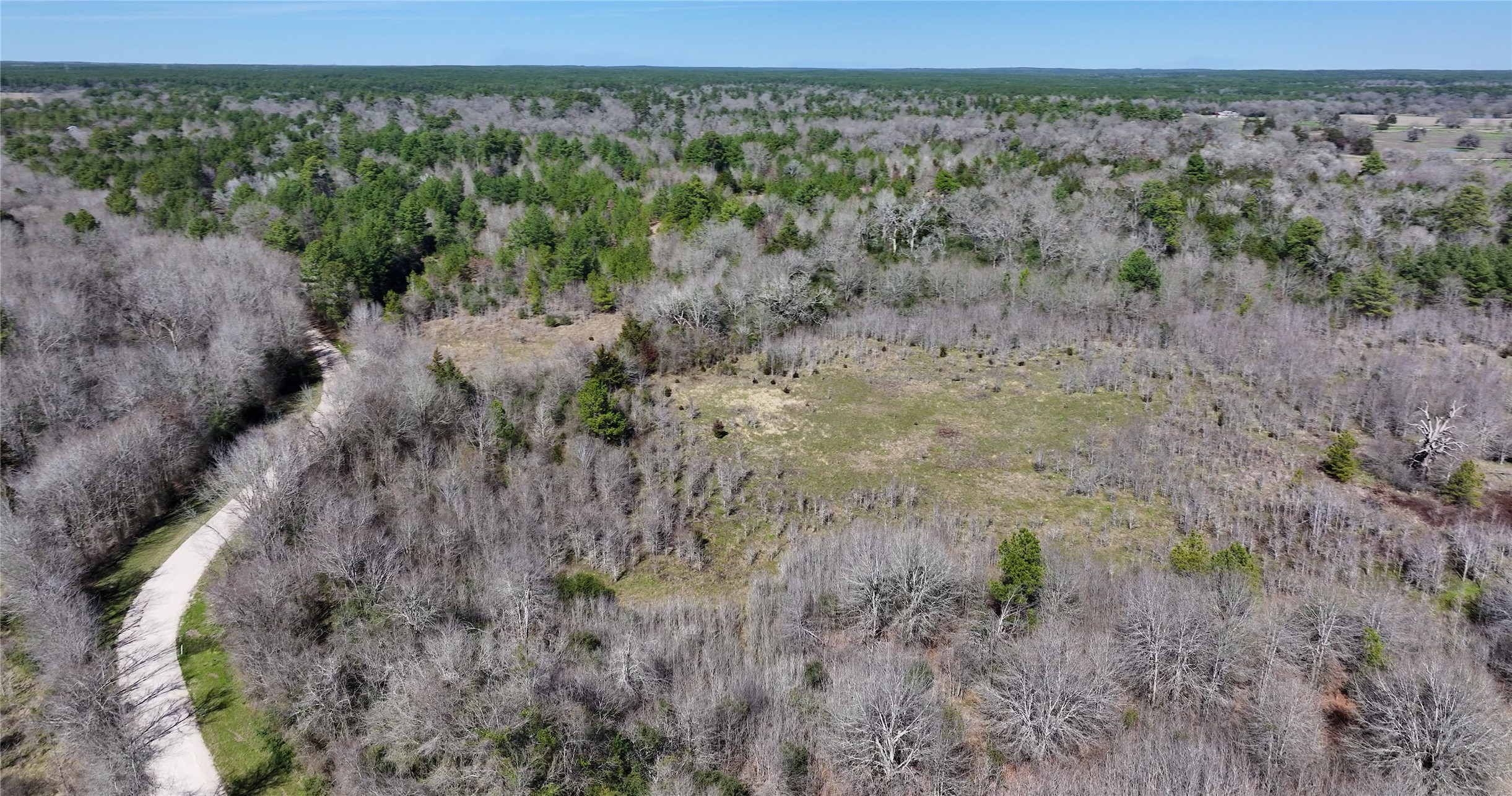 0 Palmetto Road Trinity, TX 75862 - Photo 5 of 9