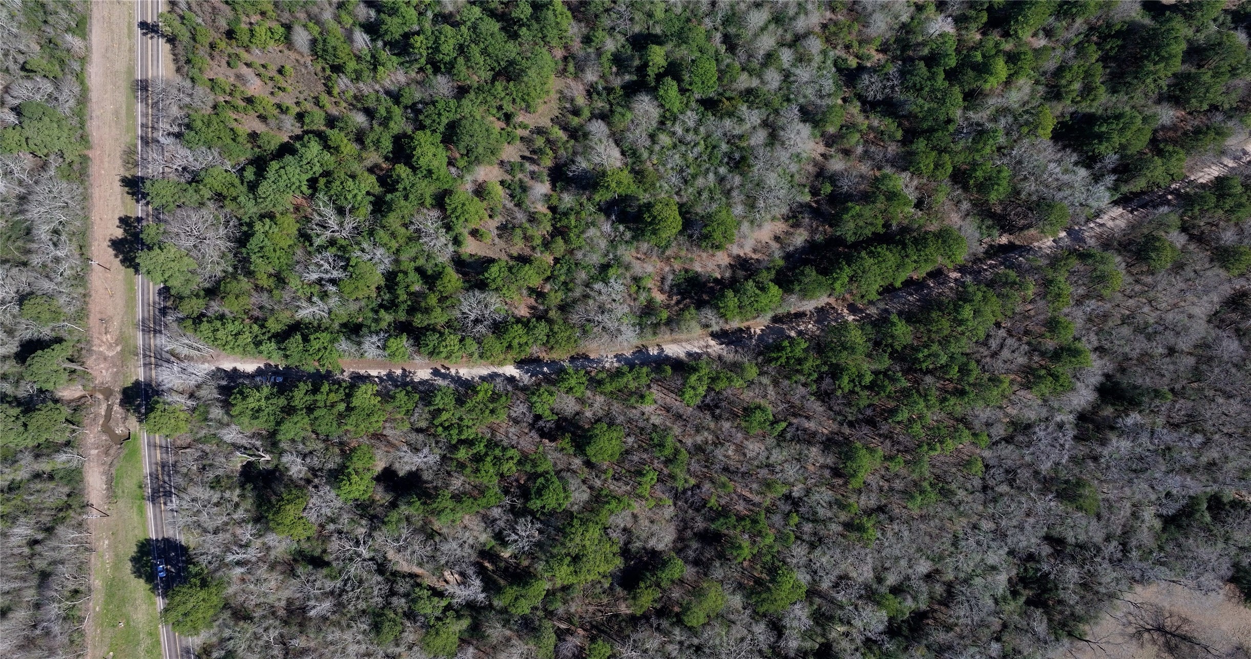 0 Palmetto Road Trinity, TX 75862 - Photo 6 of 9