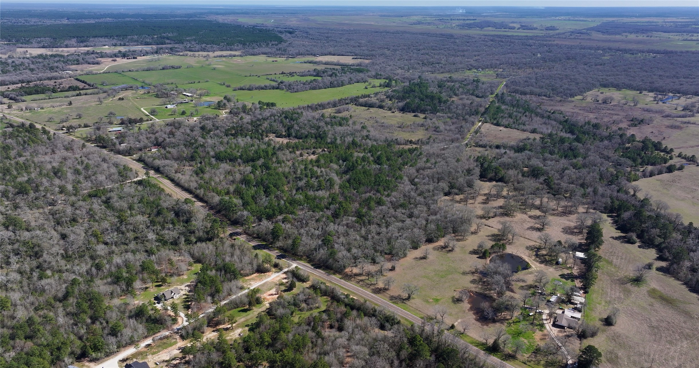 0 Palmetto Road Trinity, TX 75862 - Photo 7 of 9