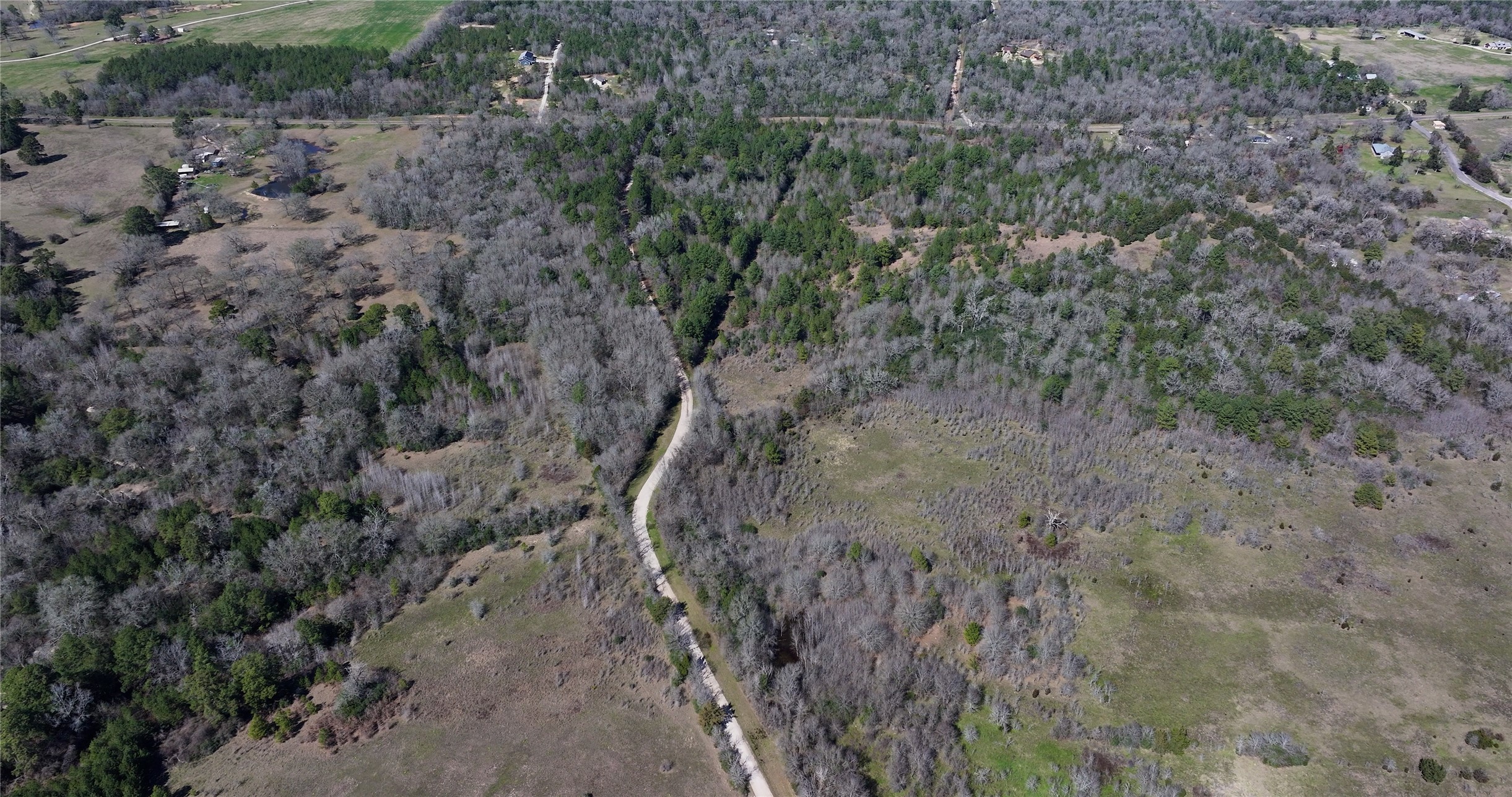 0 Palmetto Road Trinity, TX 75862 - Photo 8 of 9