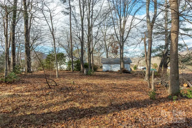 a view of a yard with a tree