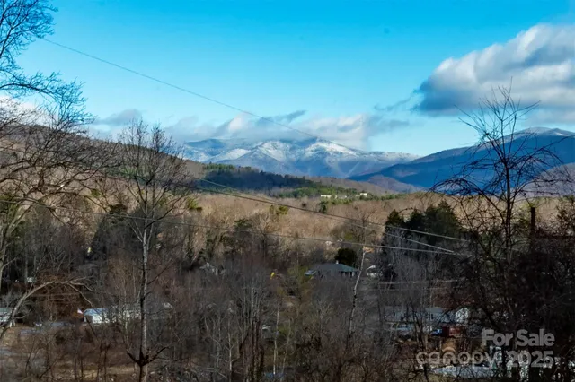 a view of a lake in middle of the forest