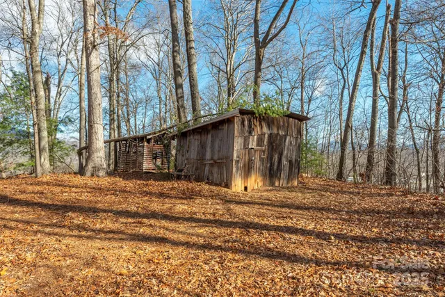 a view of a backyard with large trees