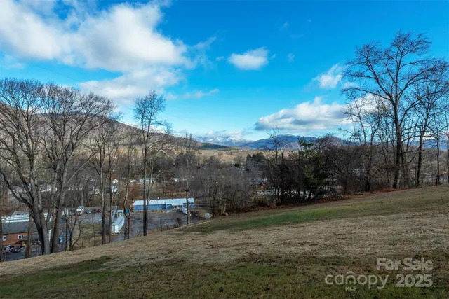 a view of a field with a tree in the background