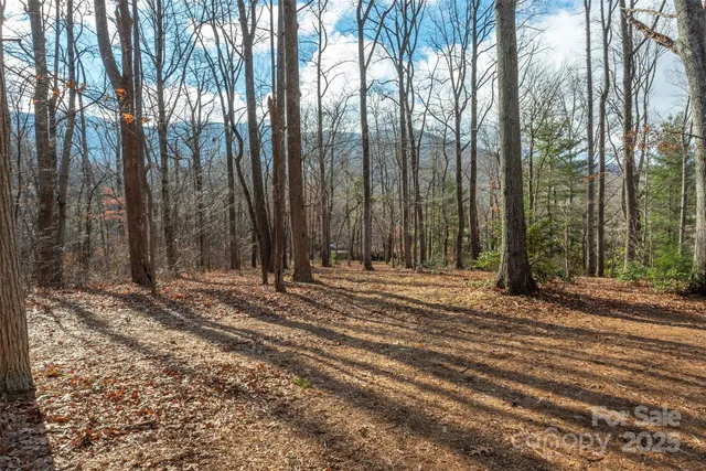 a view of a backyard of the house