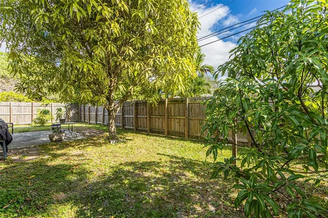 a view of backyard with tree