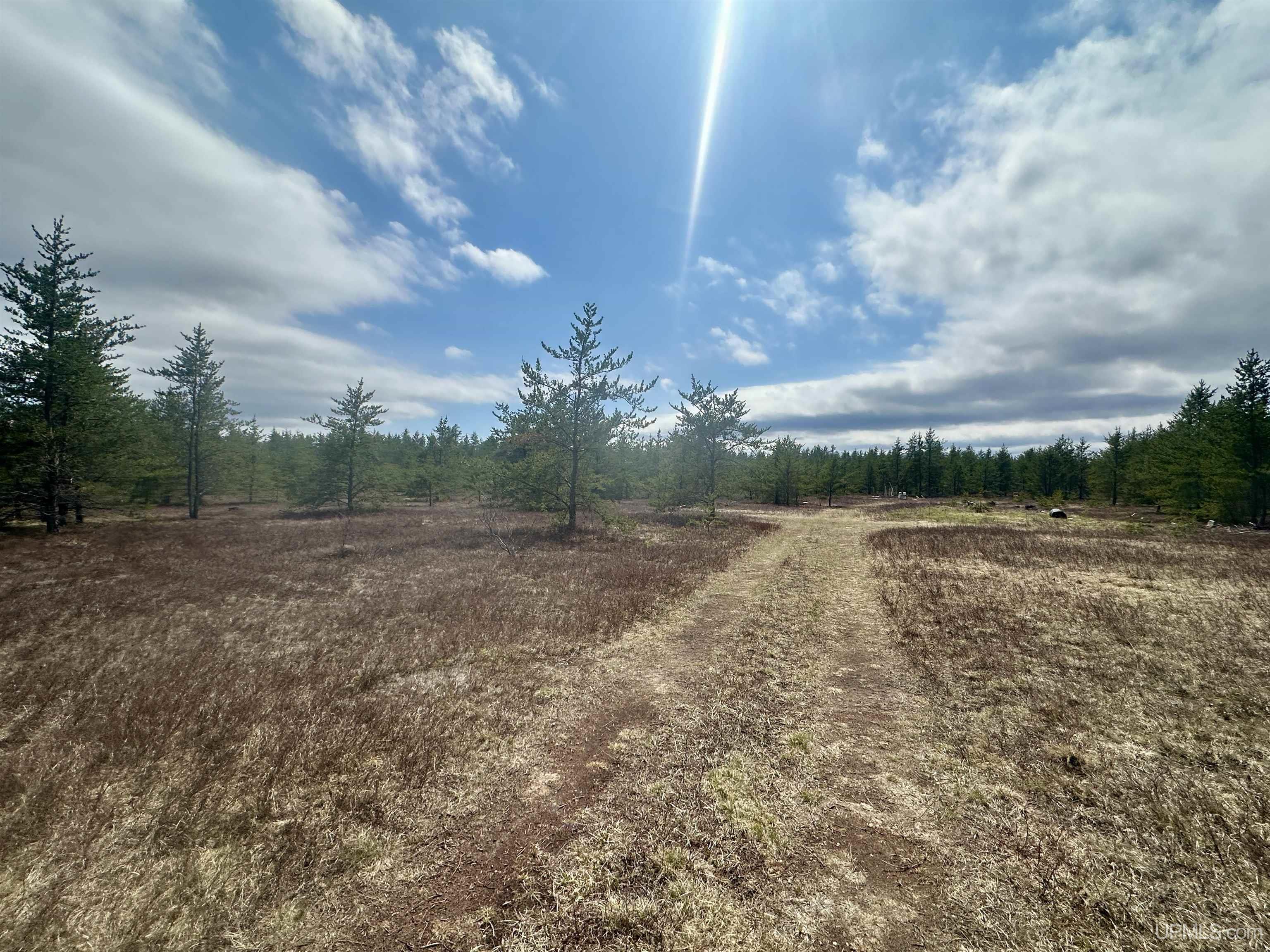 Tbd East Airfield Road Gwinn, MI 49841 - Photo 13 of 18