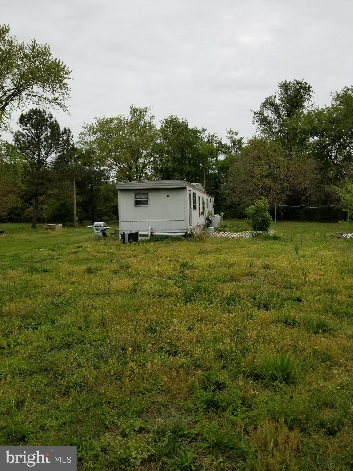 0 Osburn Webster Road Deal Island, MD 21821 - Photo 8 of 10 Gallery Image 8