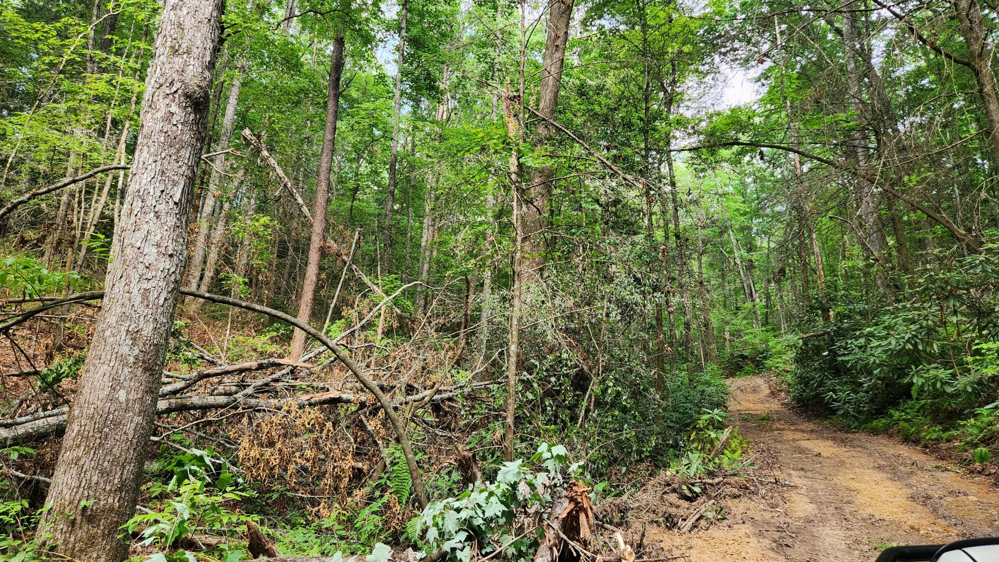 0 Tumbling Creek Road Copperhill, TN 37317 - Photo 38 of 62