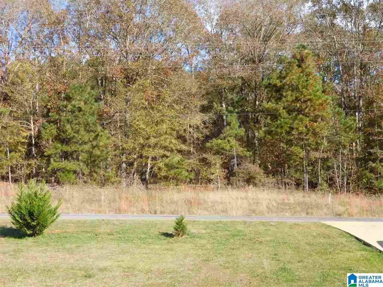 201 Lay Lake Lane Sylacauga, AL 35151 - Photo 20 of 23