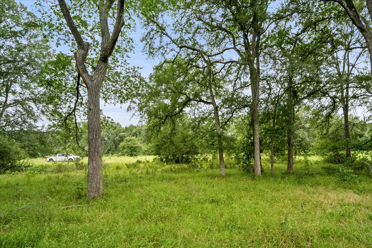 8413 Mach Road La Grange, TX 78945 - Photo 18 of 40