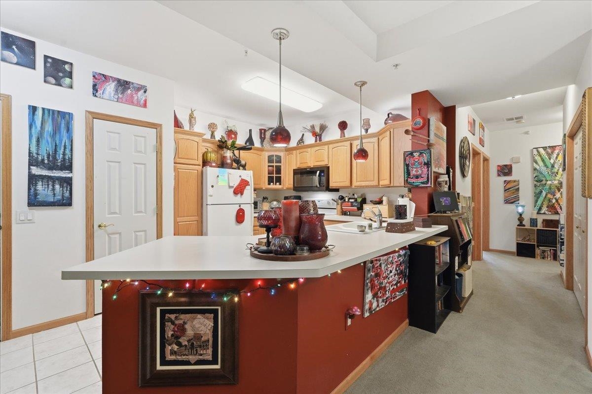 3001 Stratton Way, Unit 206 Madison, WI 53719 - Photo 7 of 28