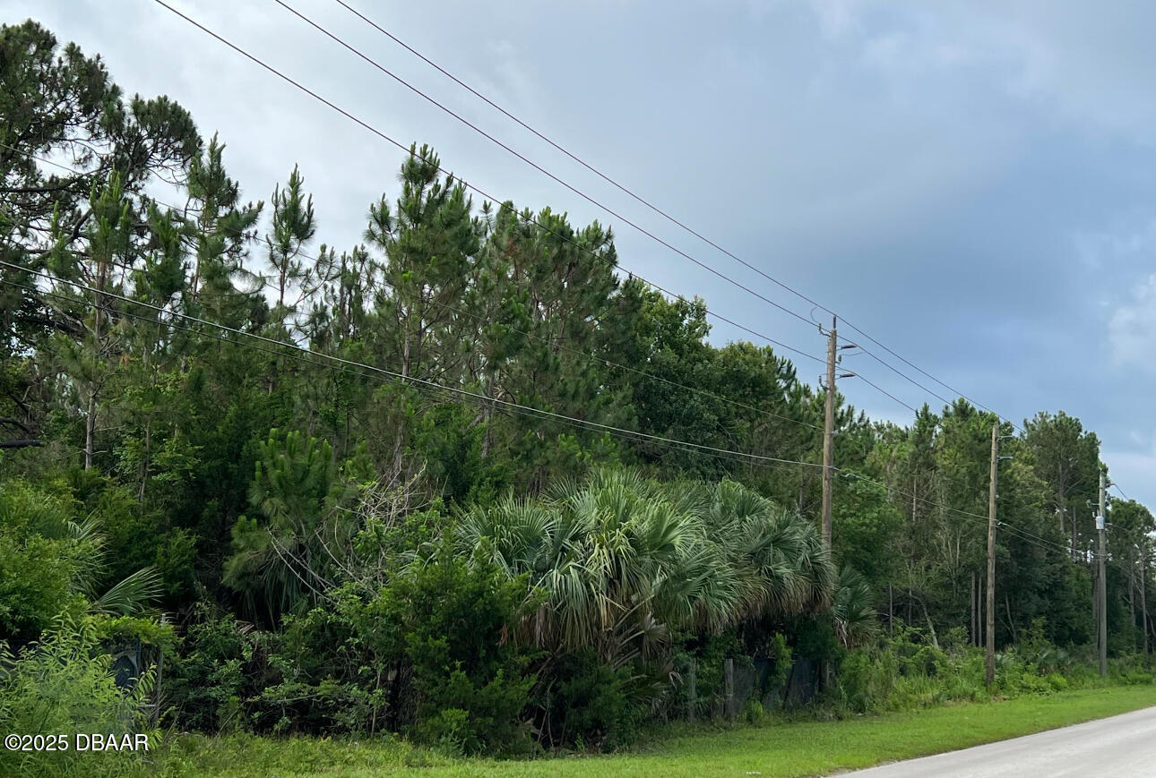 855 Hull Road Ormond Beach, FL 32174 - Photo 5 of 14 a view of a lush green forest