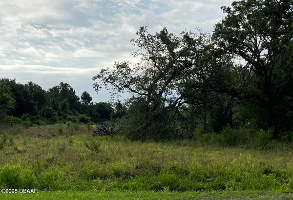 a view of a lush green space