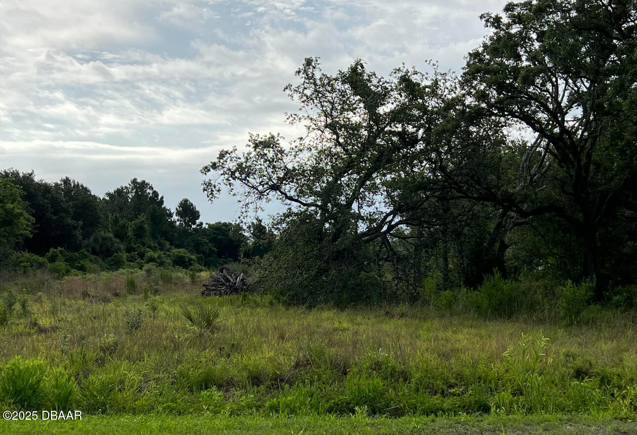 855 Hull Road Ormond Beach, FL 32174 - Photo 6 of 14 a view of a lush green space