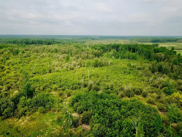 $259,900 | 3274 County Road 1, Baudette, MN 56623