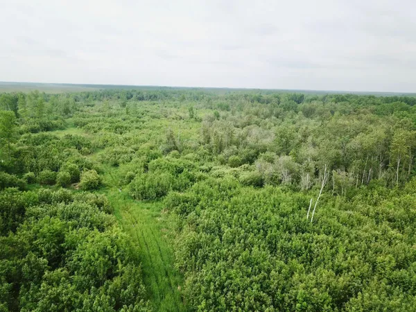 $259,900 | 3274 County Road 1, Baudette, MN 56623