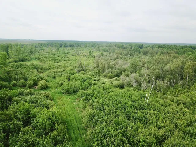 $259,900 | 3274 County Road 1, Baudette, MN 56623