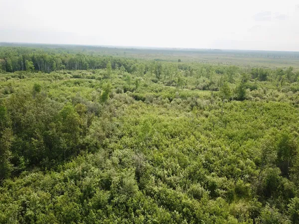 $259,900 | 3274 County Road 1, Baudette, MN 56623