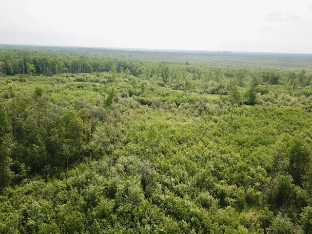 $259,900 | 3274 County Road 1, Baudette, MN 56623