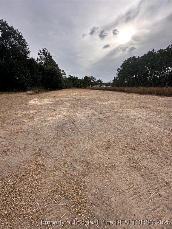 5578 Philippi Church Road Raeford, NC 28376 - Photo 5 of 33