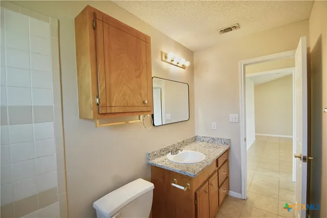 a bathroom with a sink a toilet and mirror