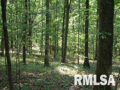 0 Hound Dog Ridge Road Vienna, IL 62995 - Photo 2 of 8