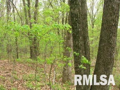 0 Hound Dog Ridge Road Vienna, IL 62995 - Photo 6 of 8