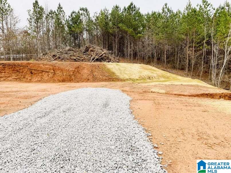 0 Boozer Road, Unit 1 Heflin, AL 36264 - Photo 8 of 11