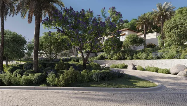 a view of a garden with plants