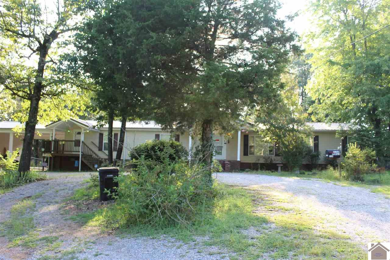 115 Lowes Road Cunningham, KY 42035 - Photo 1 of 1 Photo 1