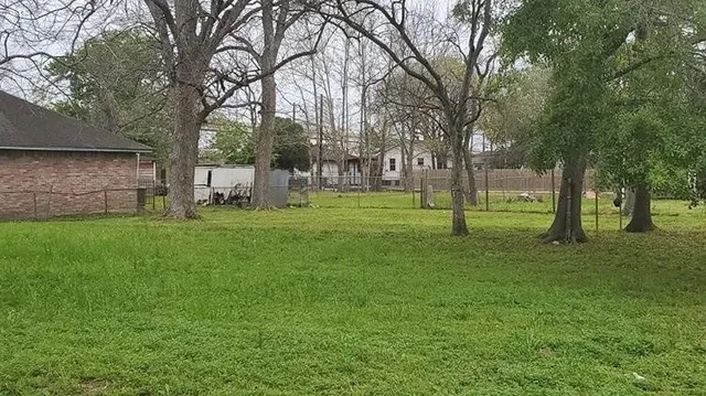 a view of a park with large trees