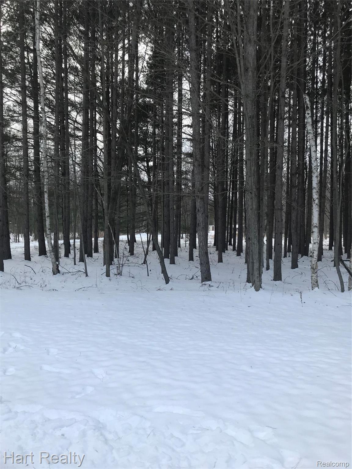 3765 Rowland Road Vassar, MI 48768 - Photo 2 of 39 3BAB79DB-ABB7-483B-96A9-88AAB723573C.jpeg