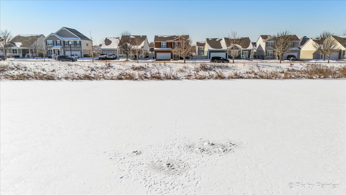 250 Water Lily Lane Elgin, IL 60124 - Photo 47 of 51