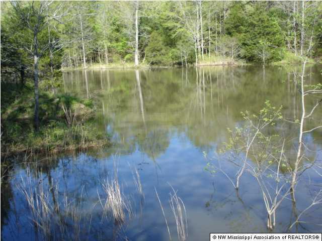 3550 Peyton Road Coldwater, MS 38618 - Photo 1 of 3 Primary Photo