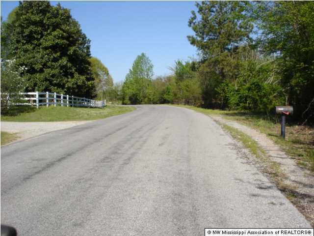 3550 Peyton Road Coldwater, MS 38618 - Photo 2 of 3 Additional Photo