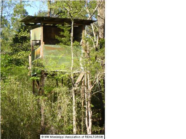 3550 Peyton Road Coldwater, MS 38618 - Photo 3 of 3 Additional Photo