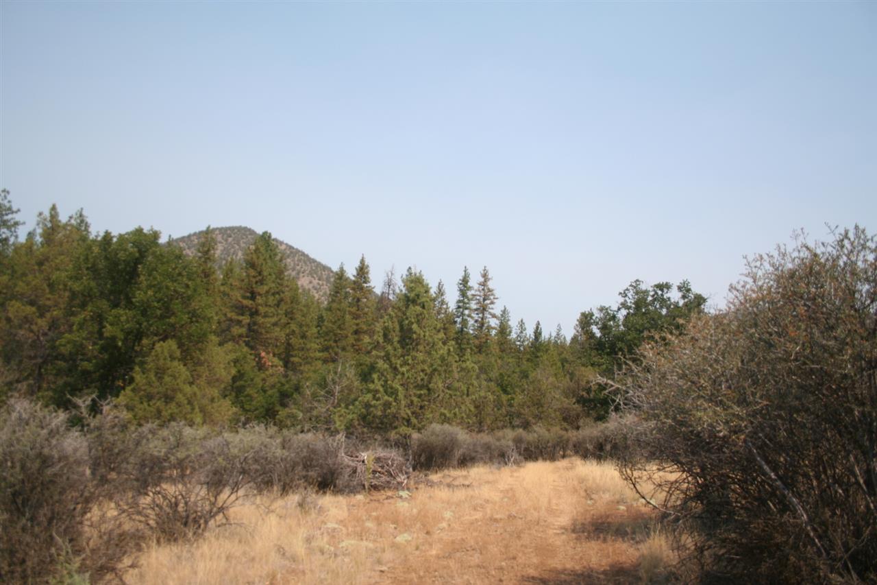 0 South Shell Gulch Spur Etna, CA 96027 - Photo 8 of 8 Gallery Image 8