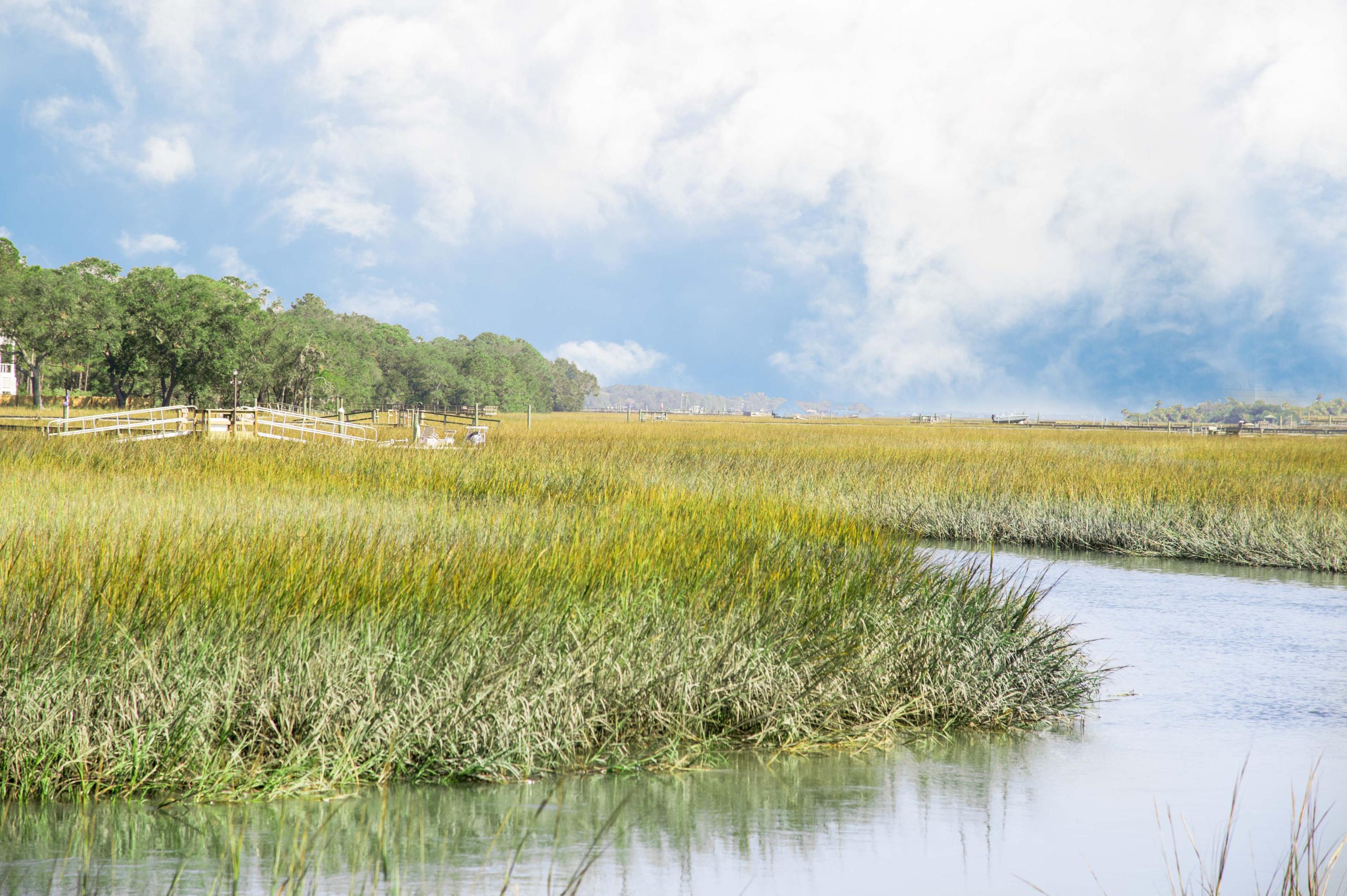 1265 Fort Lamar Road Charleston, SC 29412 - Photo 26 of 28 1225 Fort Lamar_Low Res-37