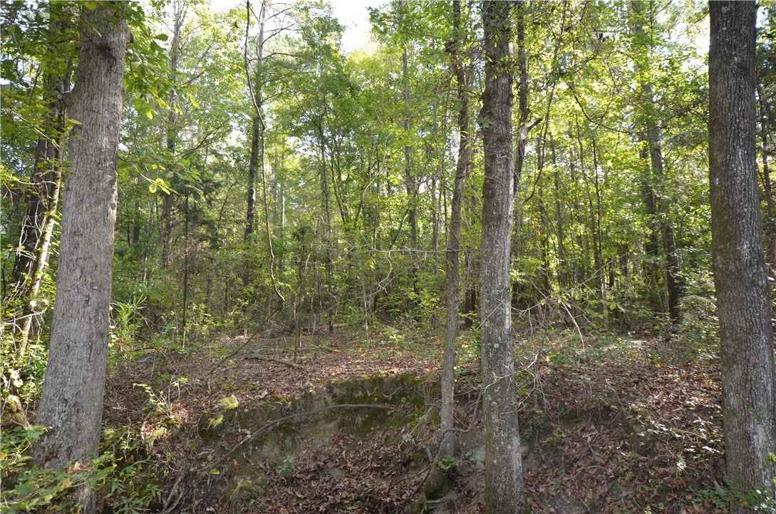 4371 Wimberly Road Auburn, AL 36832 - Photo 11 of 13 Gallery Image 11