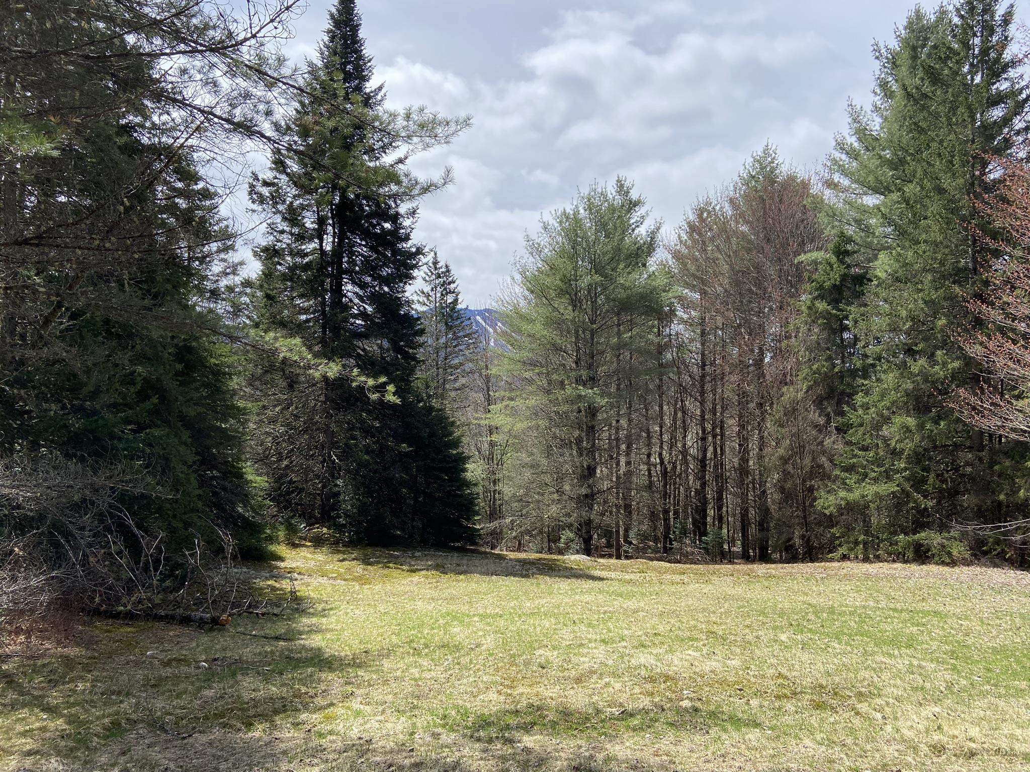 1993 Carter Road Burke, VT 05832 - Photo 9 of 40 Gallery Image 9