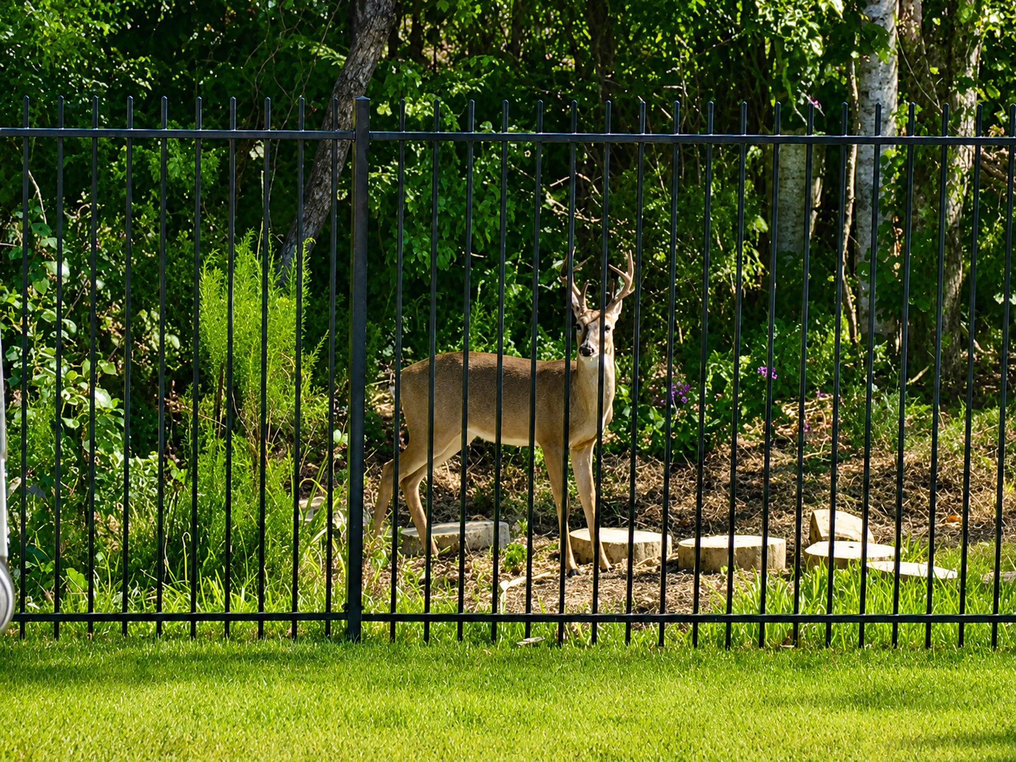 22 Sandwell Place Spring, TX 77389 - Photo 4 of 45 Live The Woodlands Experience