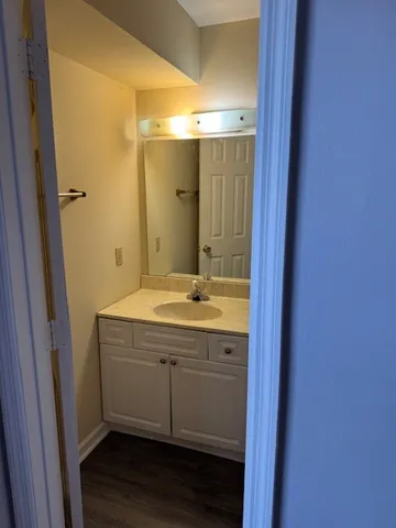 a bathroom with a sink and a mirror